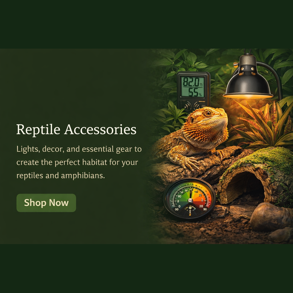 Reptile Acessories