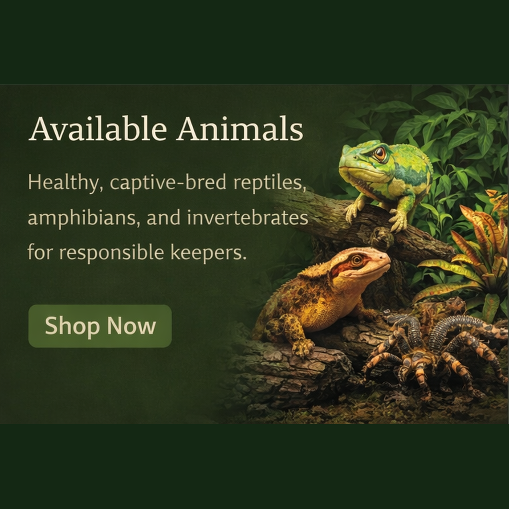 Available Animals