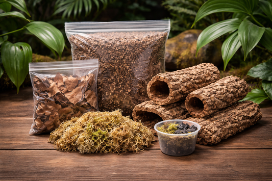 Bioactive Starter Kit