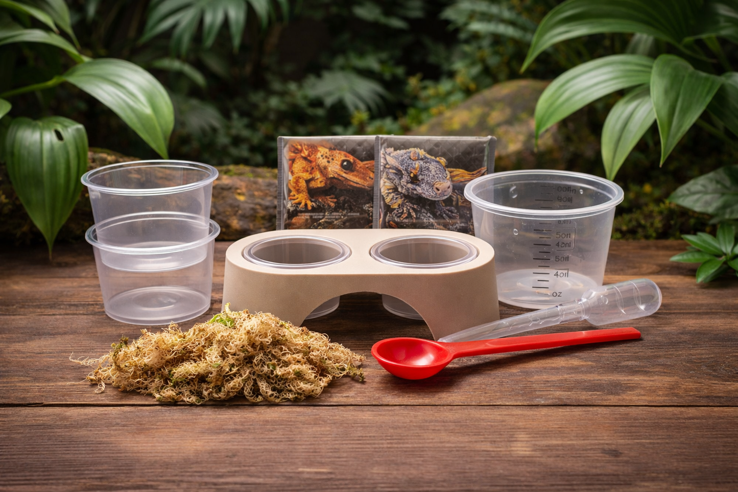 Gecko Feeding Kit